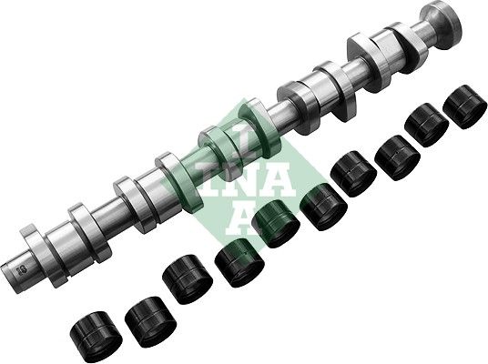 INA 428004030 | Eksantrik Mili T5-Touareg Axd-Axe-Bac 2.5 TDI 04-10