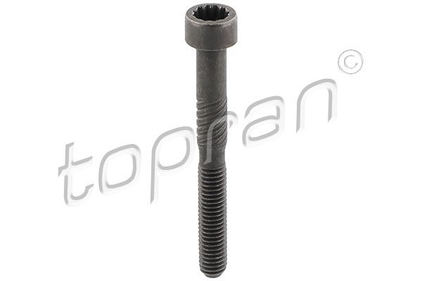 TOPRAN 119151 | Eksantrik Mili Kep Cıvatası-M6×54 (VW Caddy 04-11 Golf 98-09 Polo 00-10 Transporter 03-10) | 10 Adet Takım