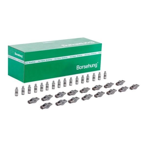 BORSEHUNG B18663 | Volkswagen Amarok 2010-2017 Model Arası Motor Subap İtici ve Horoz Takımı