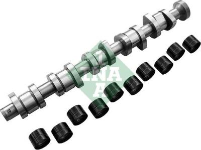 INA 428004030 | Eksantrik Mili T5-Touareg Axd-Axe-Bac 2.5 TDI 04-10