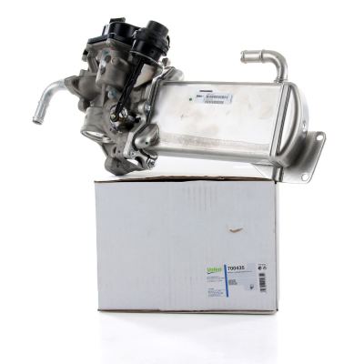 VALEO 700435 | Volkswagen Transporter T6 2.0 TDI Egr Valfi Soğutucu