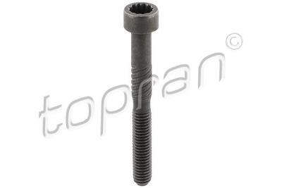 TOPRAN 119151 | Eksantrik Mili Kep Cıvatası-M6×54 (VW Caddy 04-11 Golf 98-09 Polo 00-10 Transporter 03-10) | 10 Adet Takım